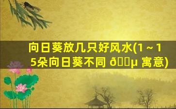 向日葵放几只好风水(1～15朵向日葵不同 🌵 寓意)